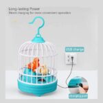 Rechargeable Talking And Singing Birds Toy - Blue - Image 4